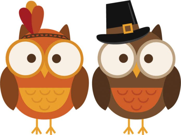 large_thanksgiving-owls