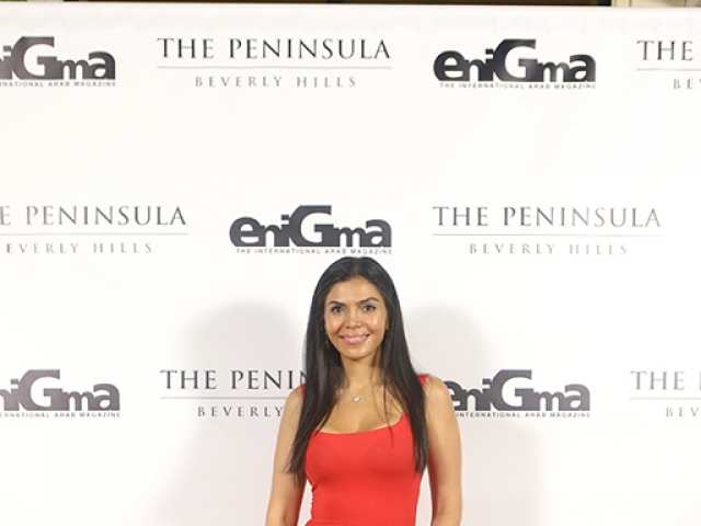 Enigma Peninsula Party