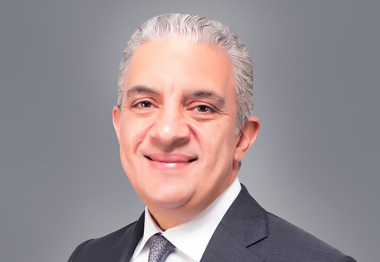 sewedy net worth
