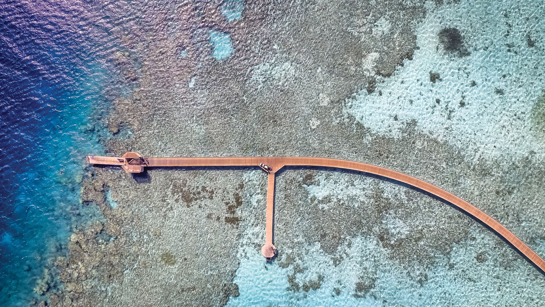 DJI_0002-Edit-(1)