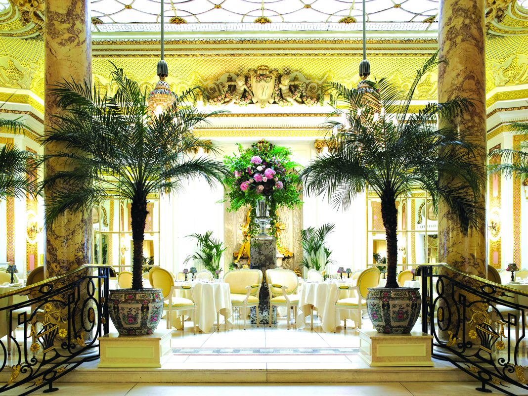 Palm Court 2